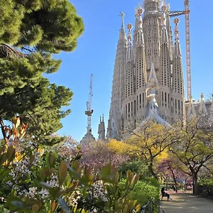 Barcelona4seasons - Sagrada Familia Barcelona